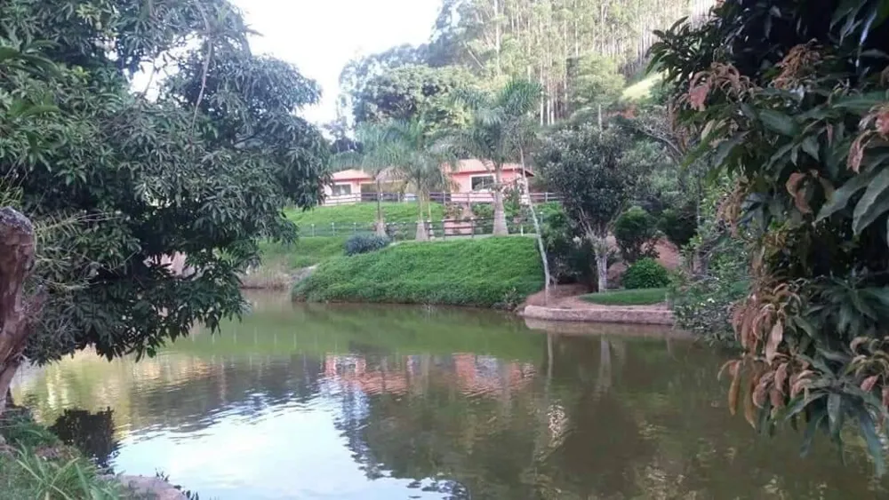 Terreno, 5 hectares - Foto 12