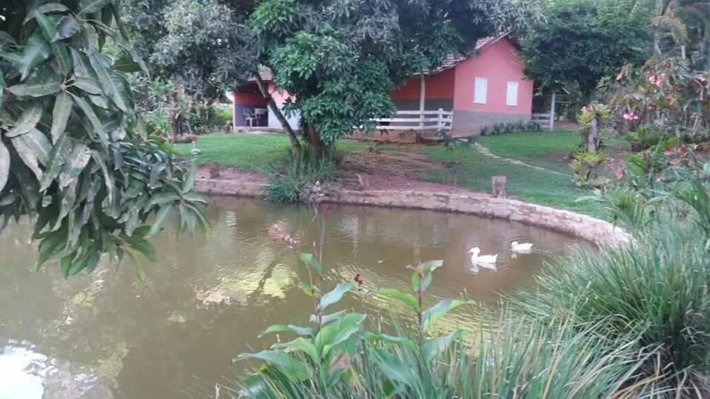 Terreno, 5 hectares - Foto 9
