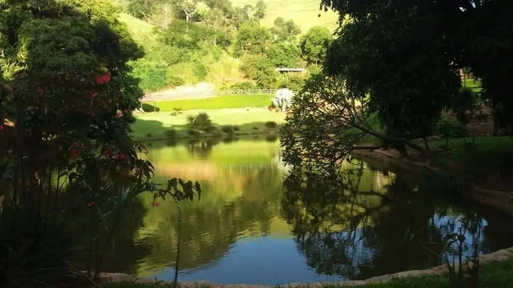 Terreno, 5 hectares - Foto 7