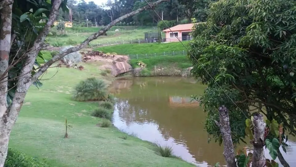 Terreno, 5 hectares - Foto 13
