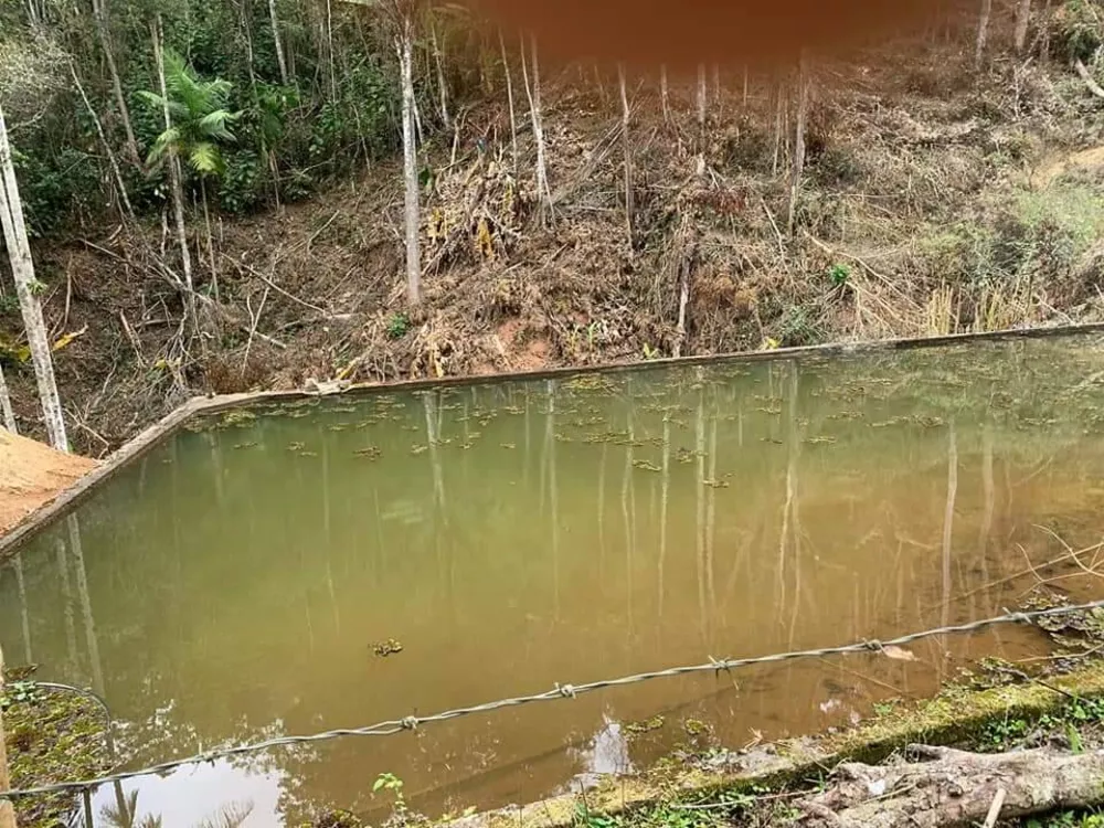 Fazenda à venda com 3 quartos, 81000m² - Foto 7