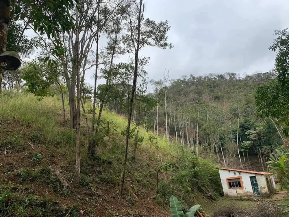 Fazenda à venda com 3 quartos, 81000m² - Foto 5