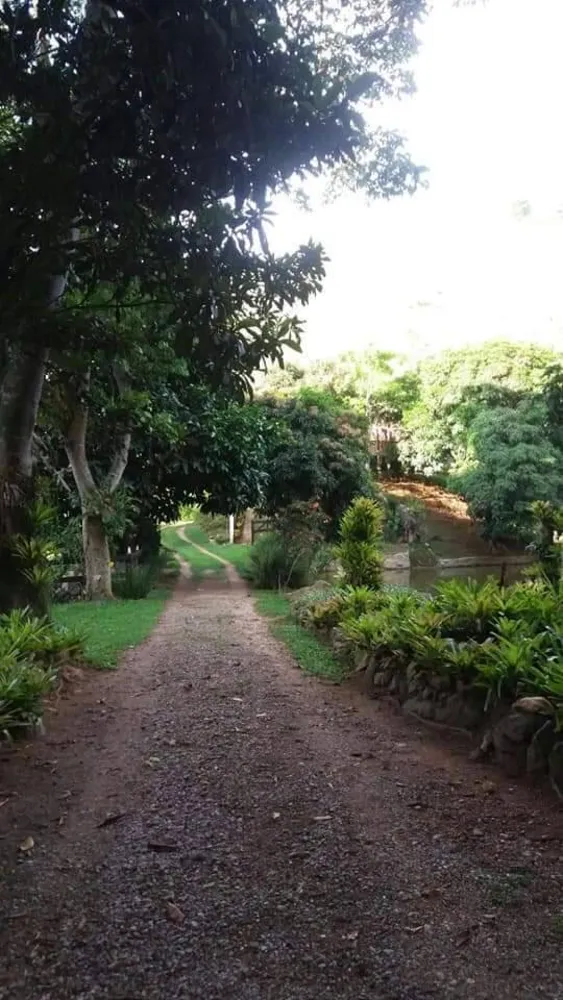 Terreno, 5 hectares - Foto 15
