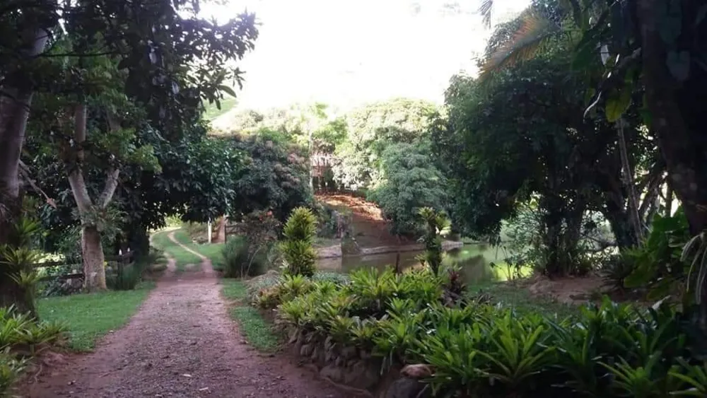 Terreno, 5 hectares - Foto 11