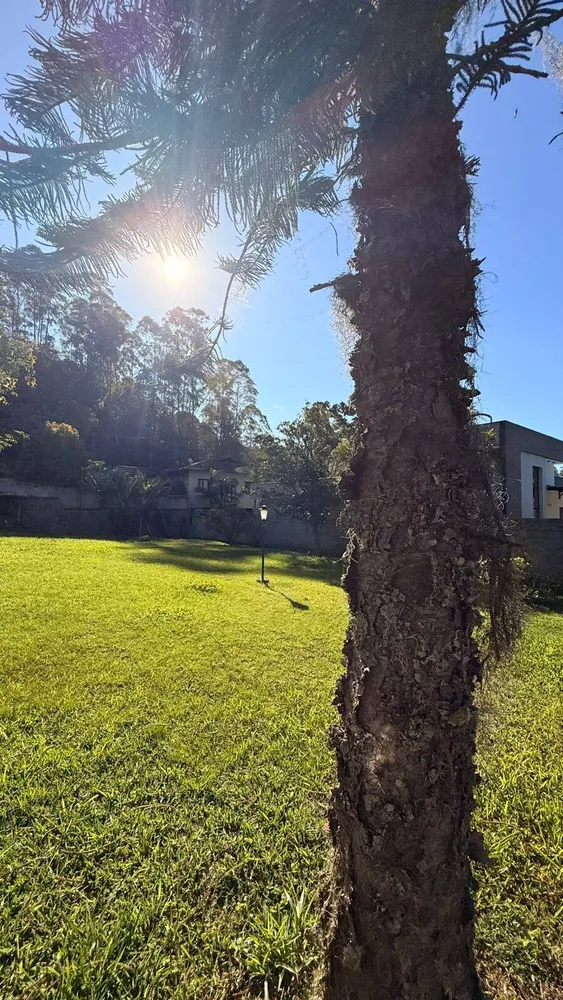 Terreno - Foto 4