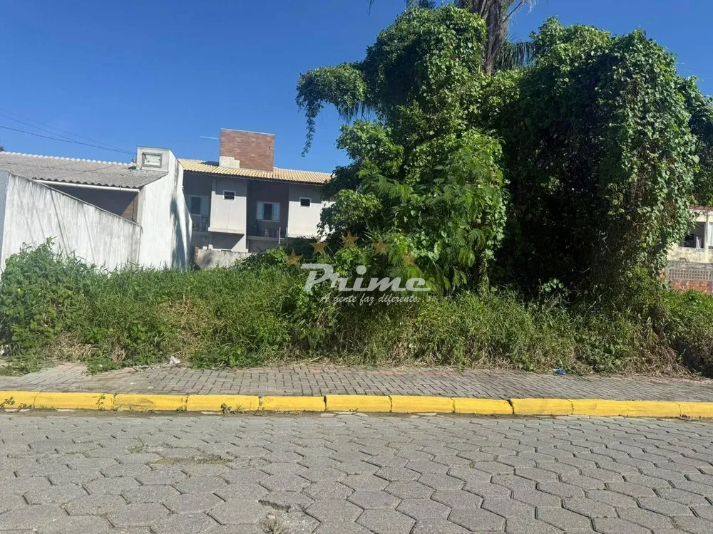 Terreno - Foto 2
