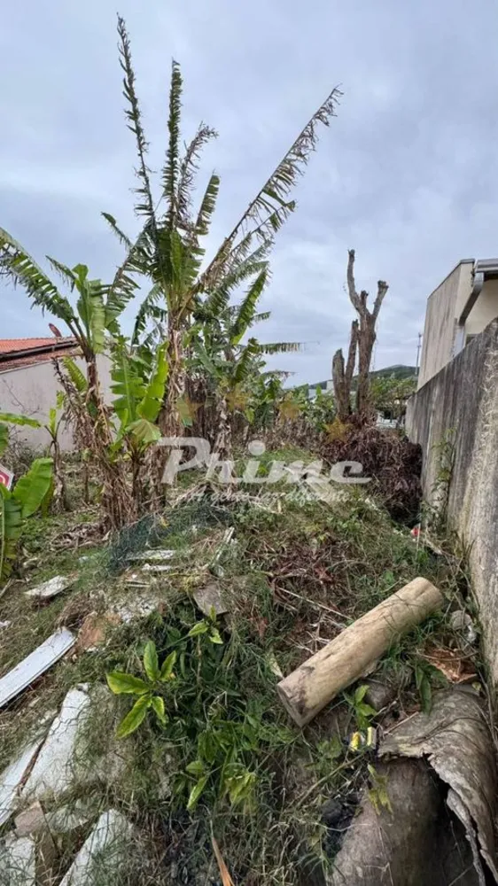 Terreno - Foto 2