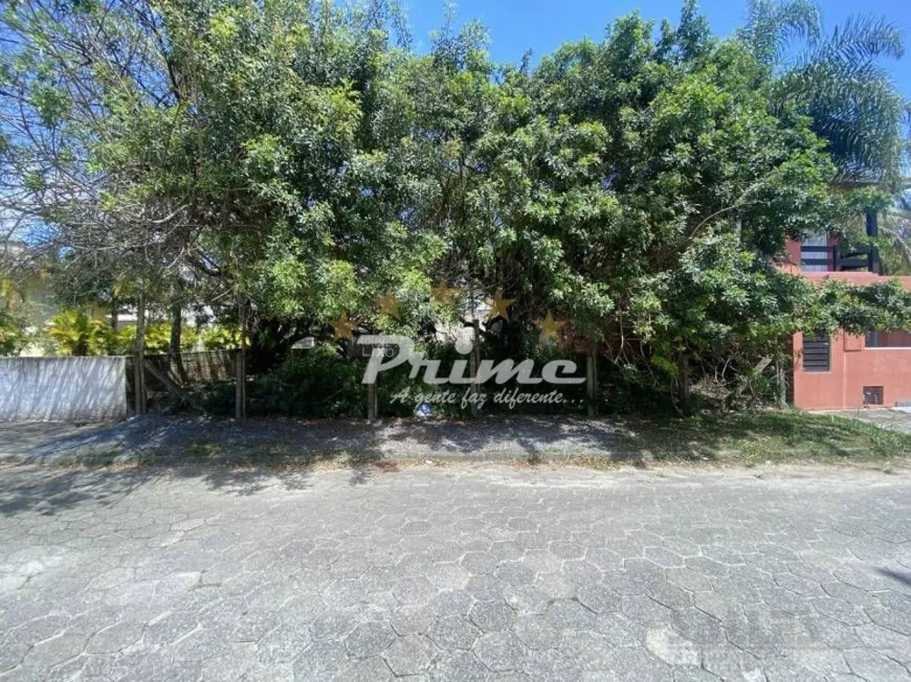 Terreno - Foto 1
