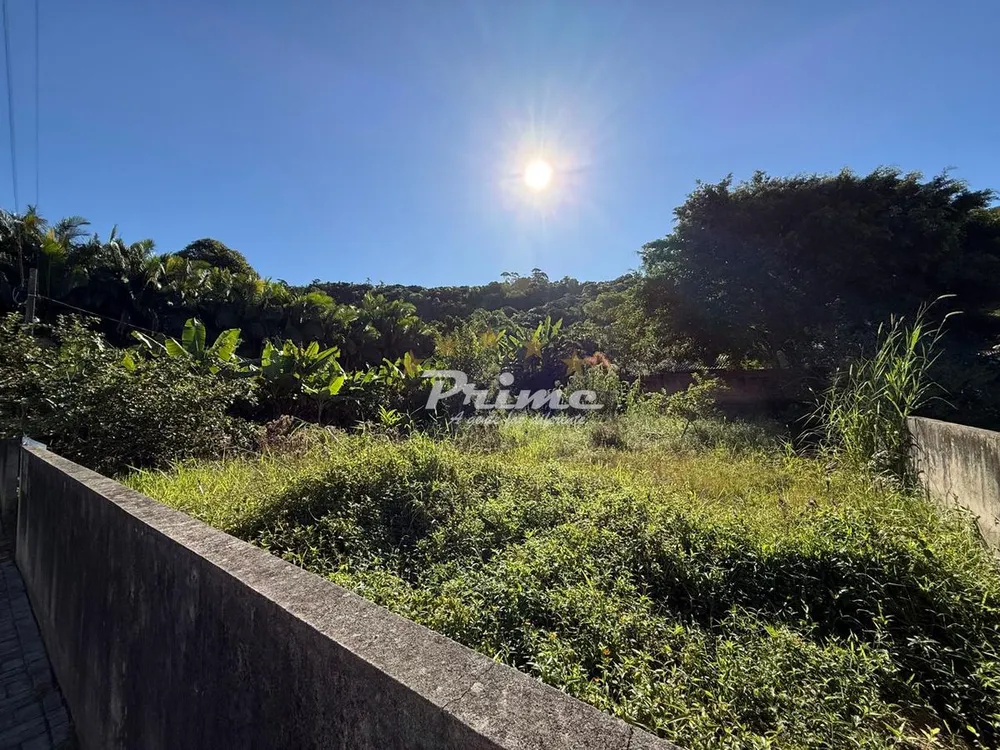 Terreno - Foto 1