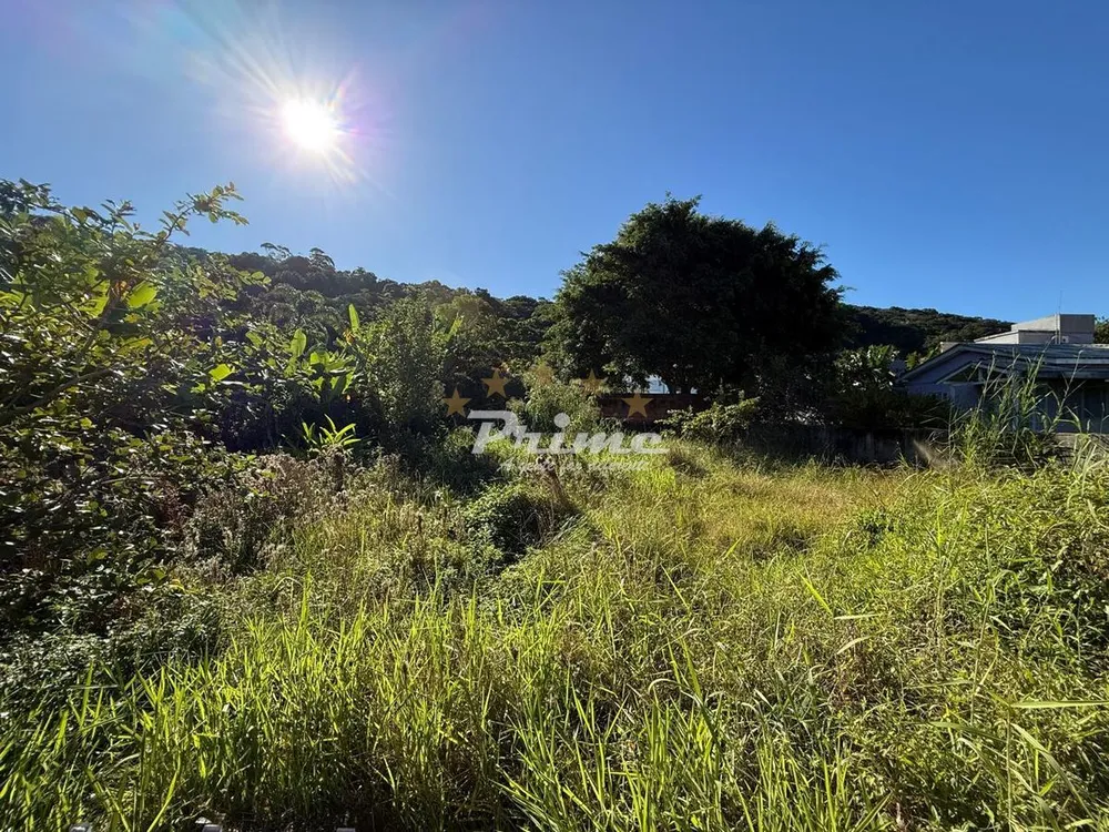 Terreno - Foto 3