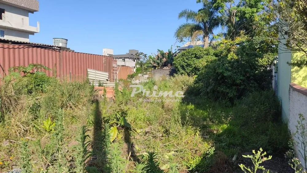 Terreno - Foto 2