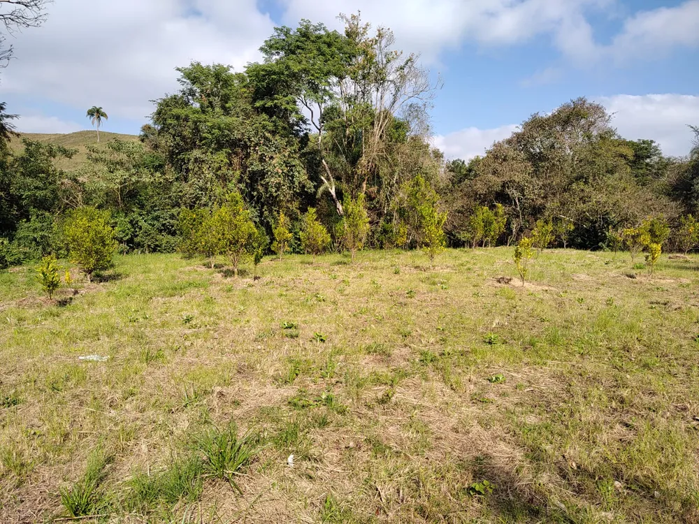 Terreno, 8246 m² - Foto 15