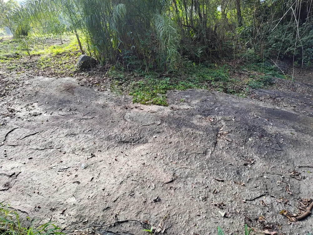 Terreno, 8246 m² - Foto 3
