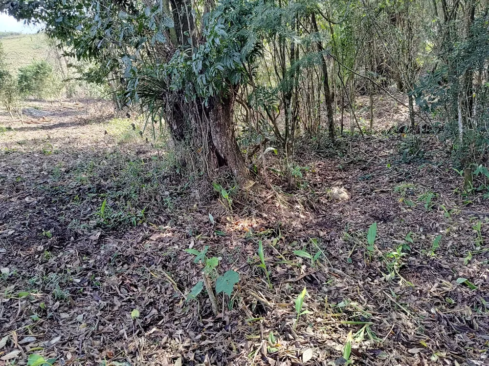 Terreno, 8246 m² - Foto 13