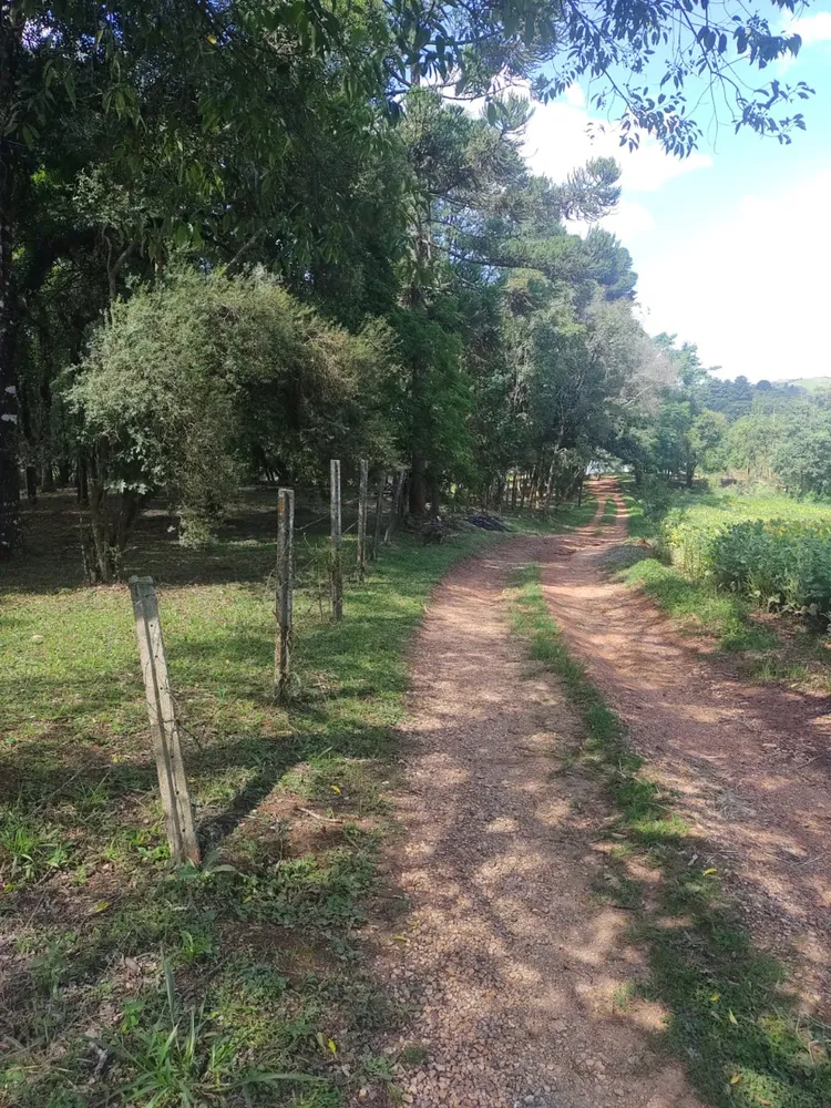 Terreno, 1 hectares - Foto 10