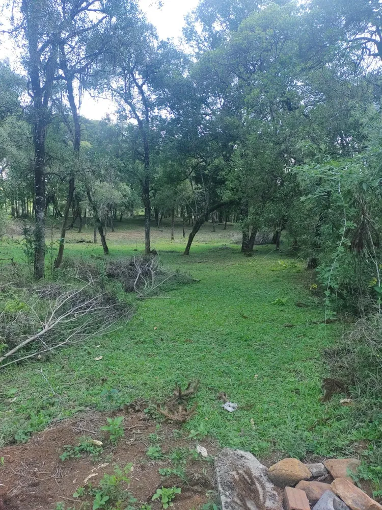 Terreno, 1 hectares - Foto 6
