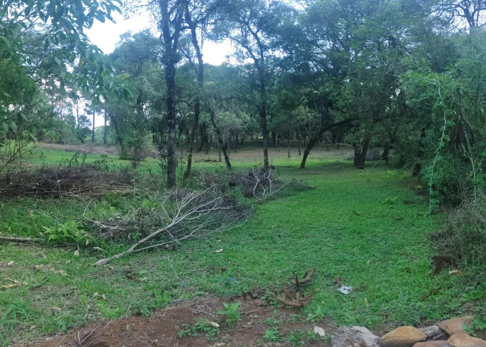 Terreno, 1 hectares - Foto 5