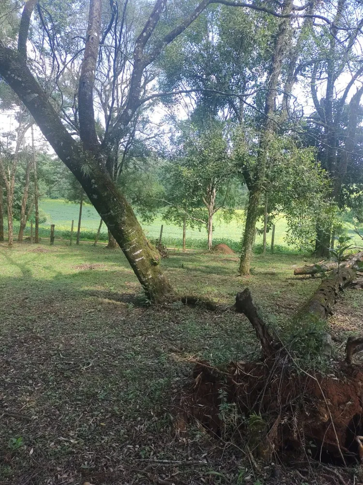 Terreno, 1 hectares - Foto 4
