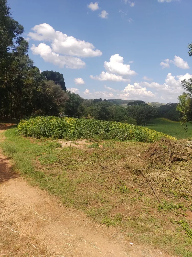 Terreno, 1 hectares - Foto 3