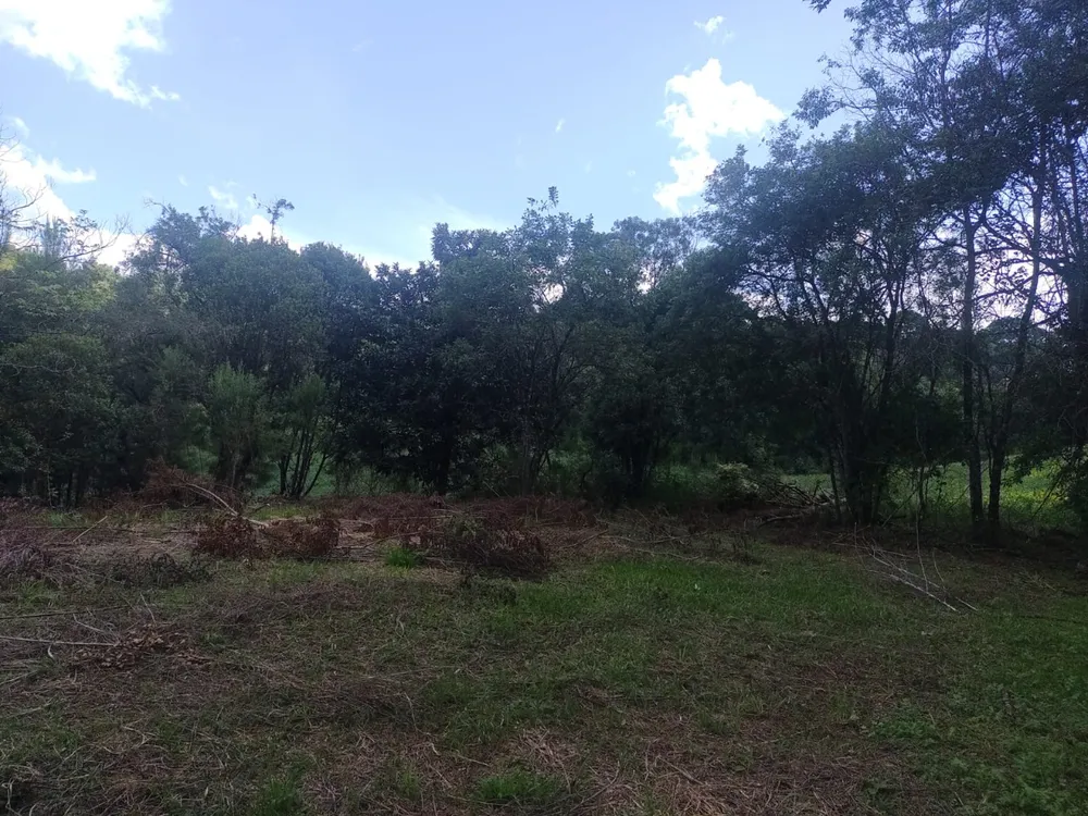 Terreno, 1 hectares - Foto 2