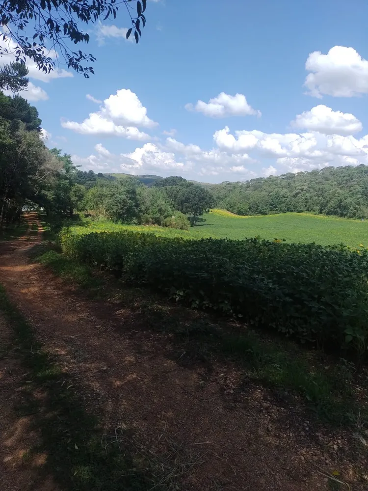 Terreno, 1 hectares - Foto 1