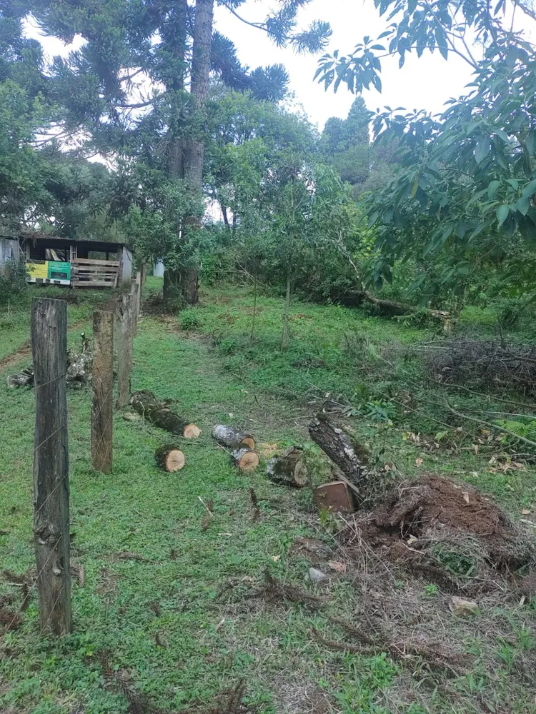 Terreno, 1 hectares - Foto 12