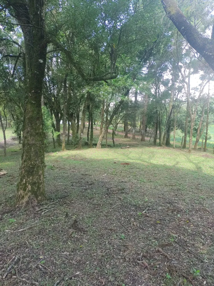 Terreno, 1 hectares - Foto 9