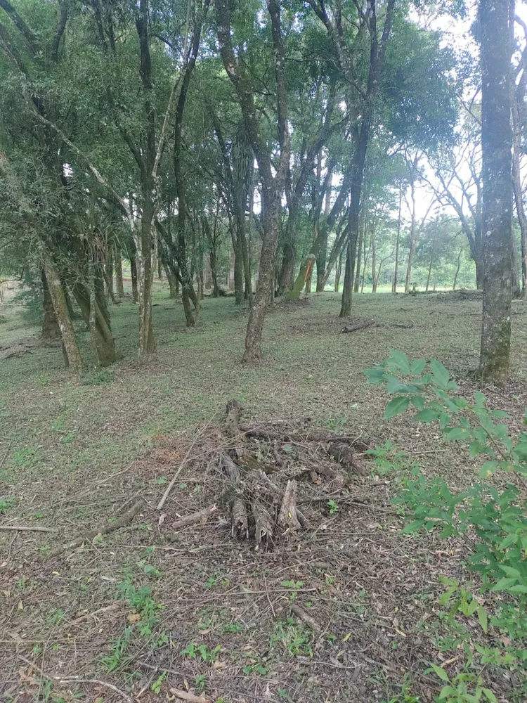Terreno, 1 hectares - Foto 8