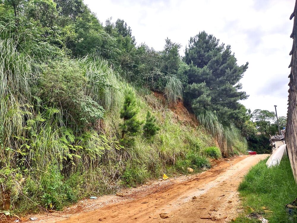 Terreno à venda, 14500m² - Foto 6