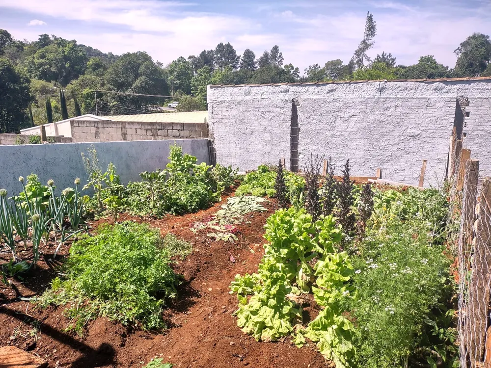 Casa, 3 quartos, 120 m² - Foto 12