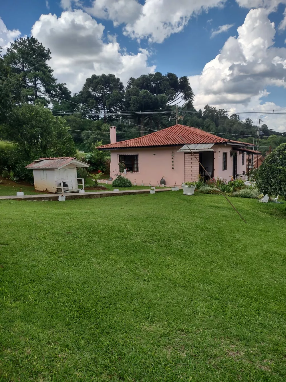 Terreno, 5340 m² - Foto 31