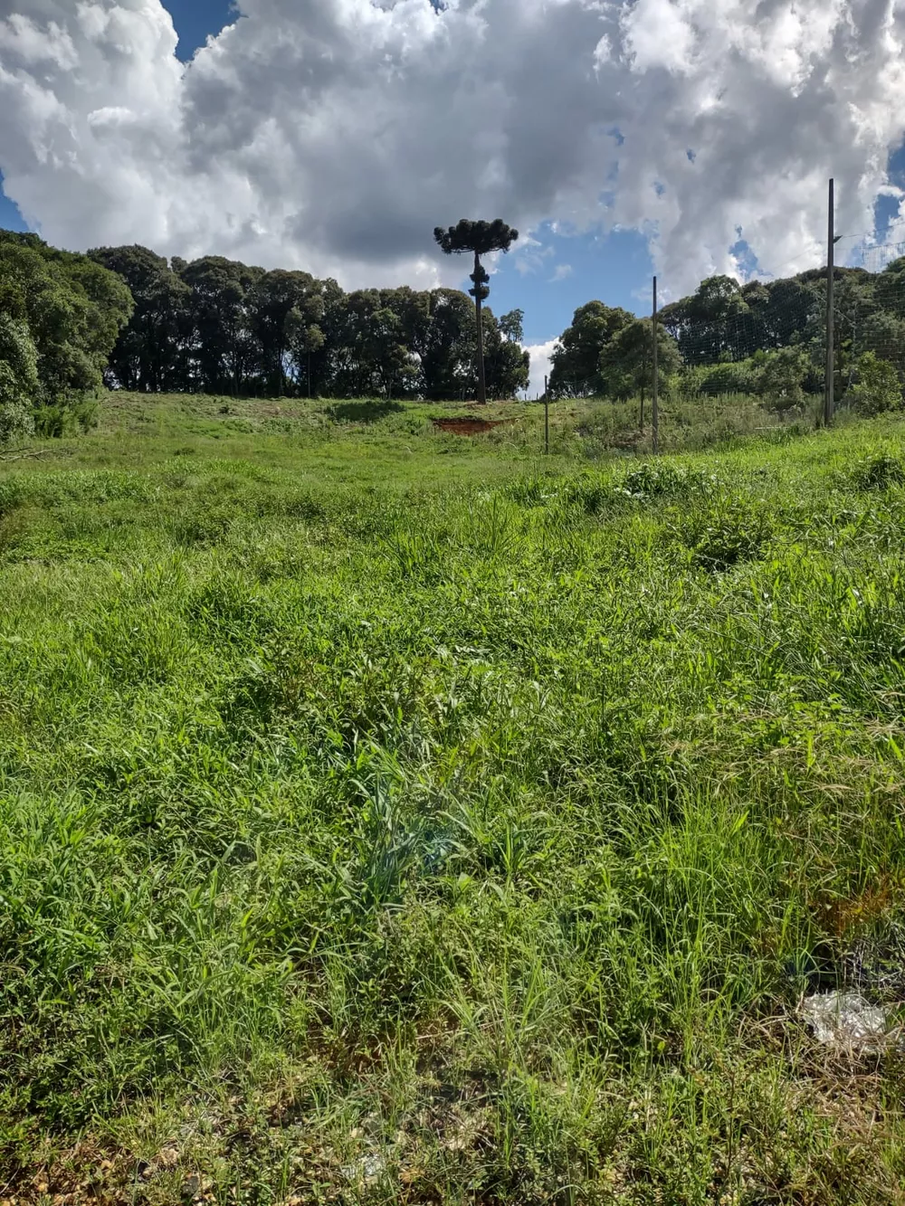 Terreno, 5340 m² - Foto 19