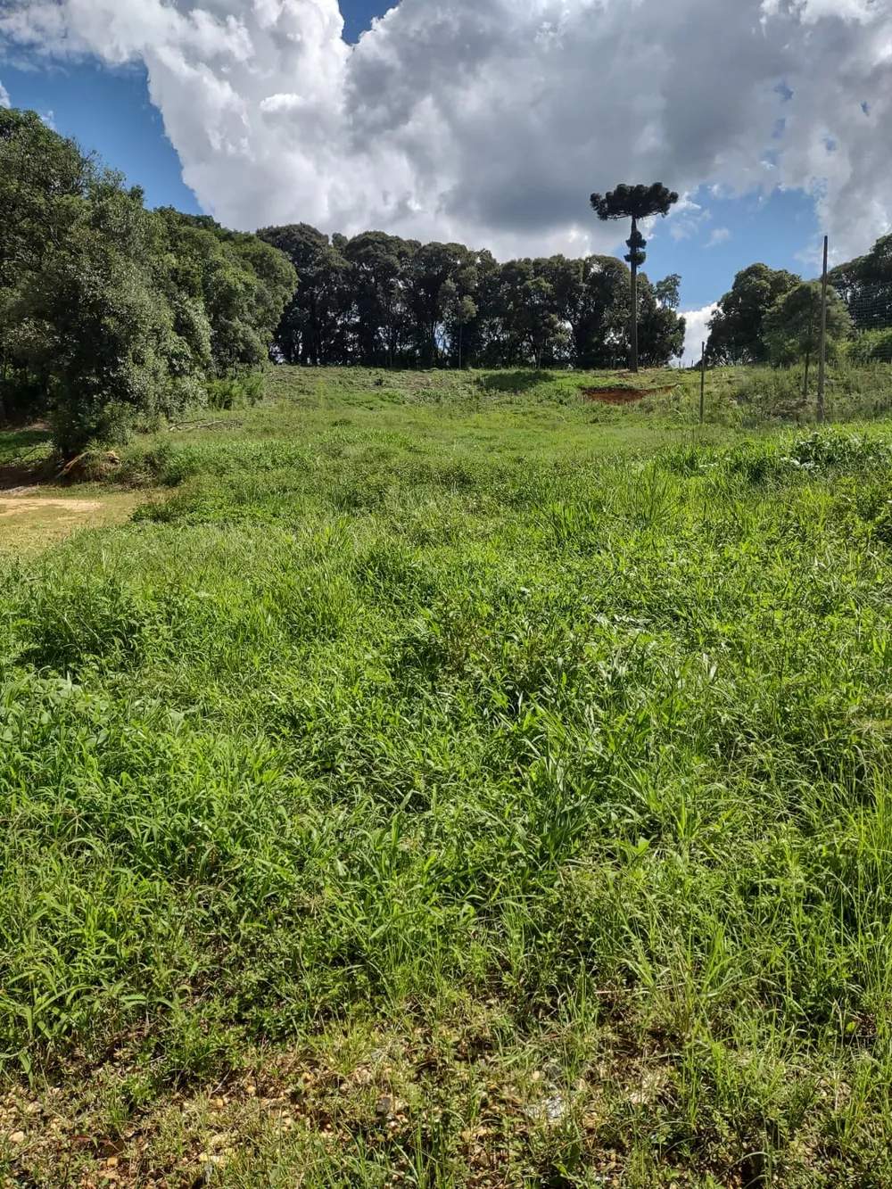 Terreno, 5340 m² - Foto 16