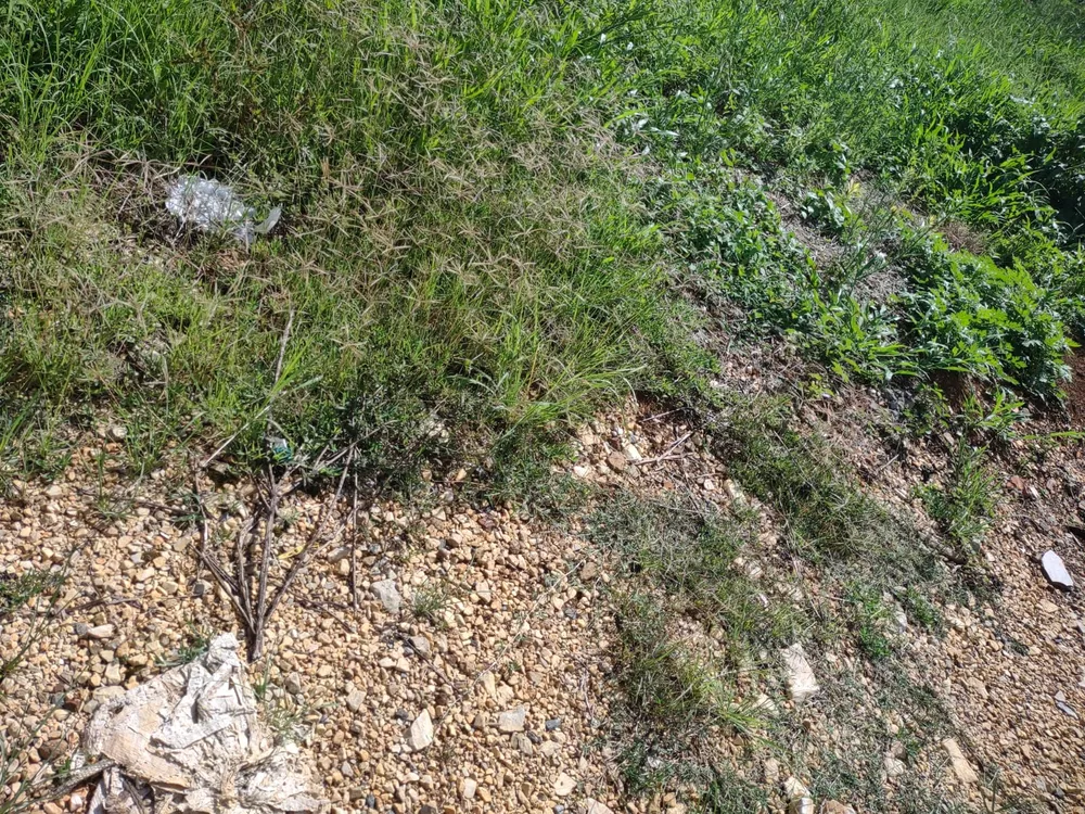 Terreno, 5340 m² - Foto 7