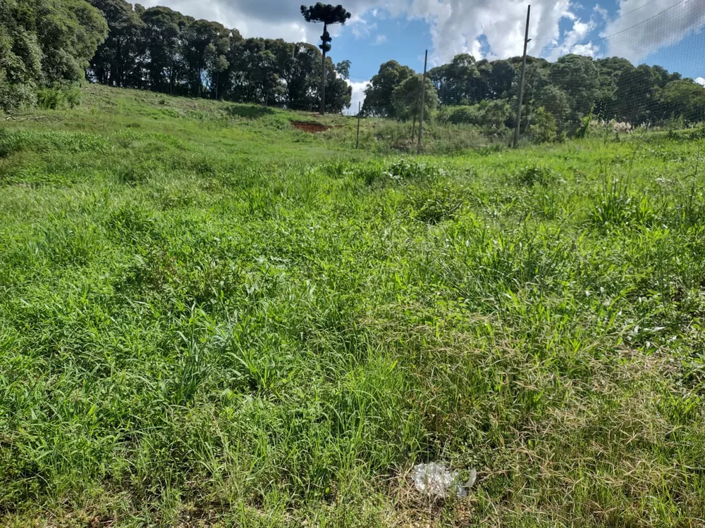 Terreno, 5340 m² - Foto 22