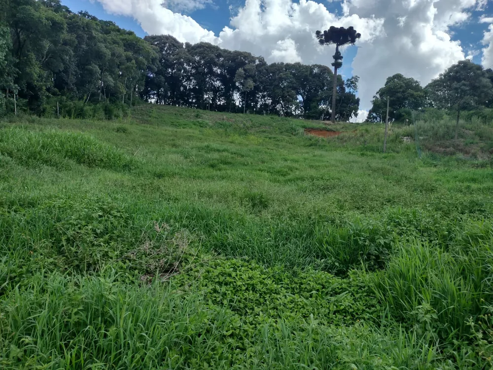 Terreno, 5340 m² - Foto 15