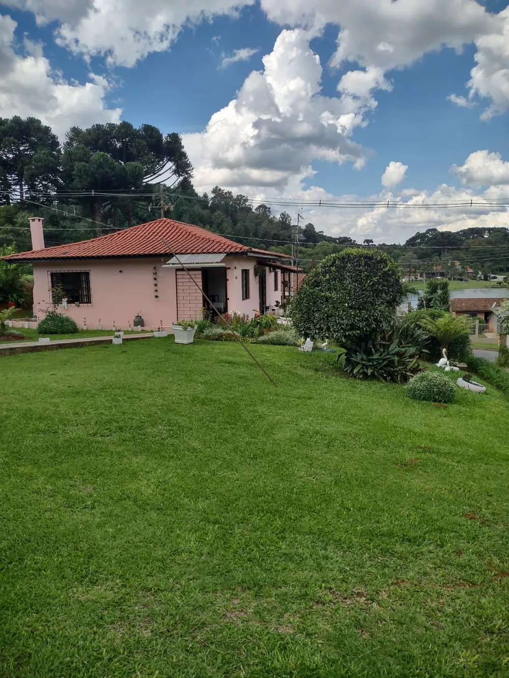 Terreno, 5340 m² - Foto 23