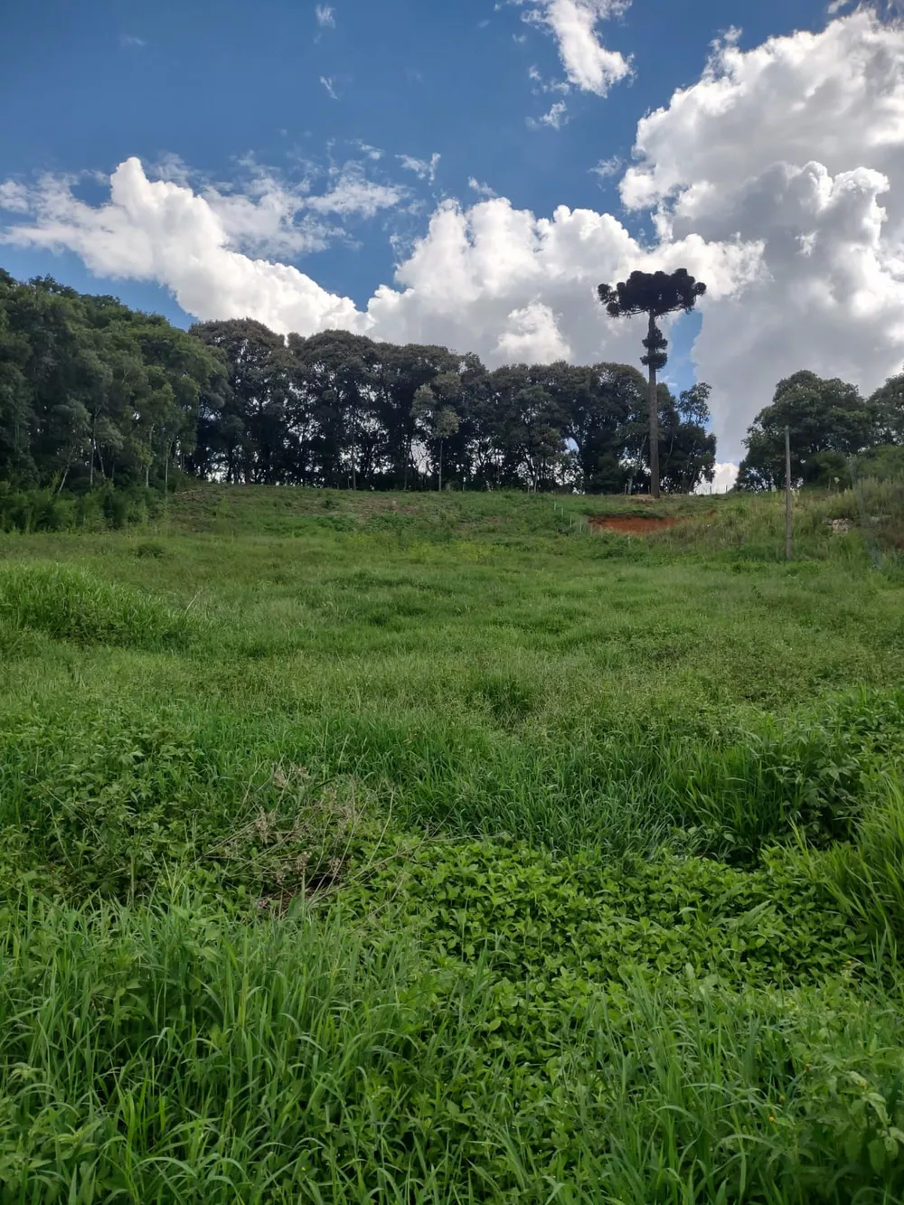 Terreno, 5340 m² - Foto 12