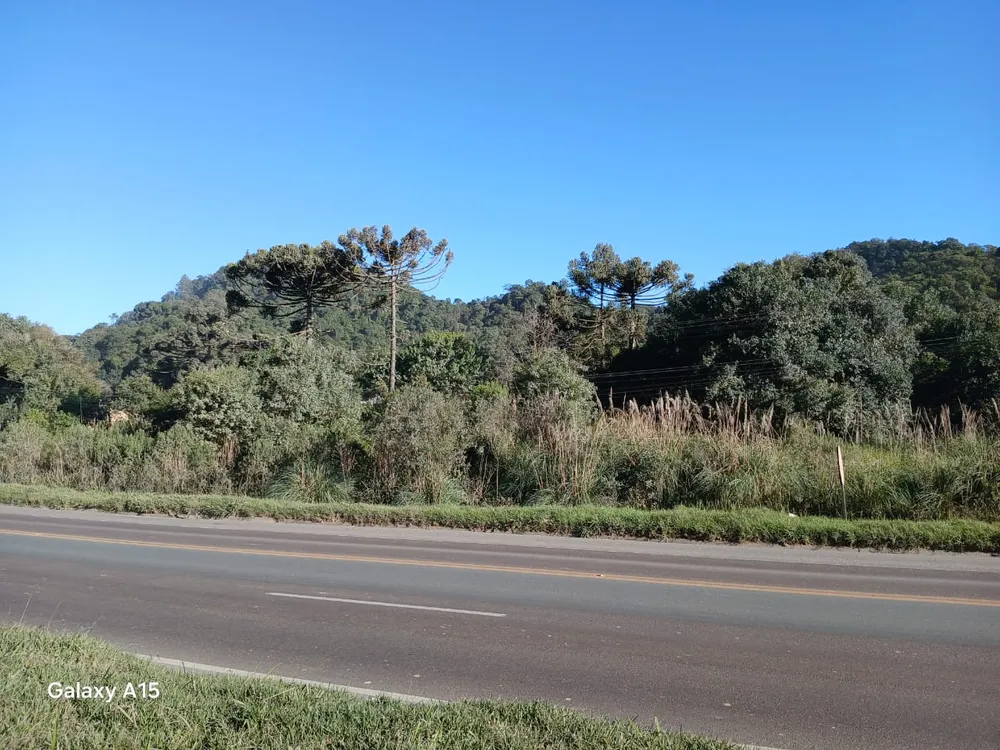 Terreno, 6 hectares - Foto 10