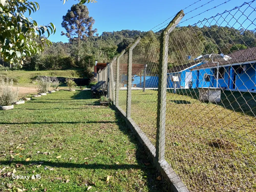 Terreno, 6 hectares - Foto 3
