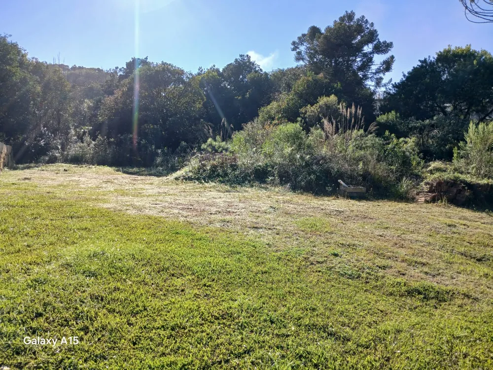 Terreno, 6 hectares - Foto 8