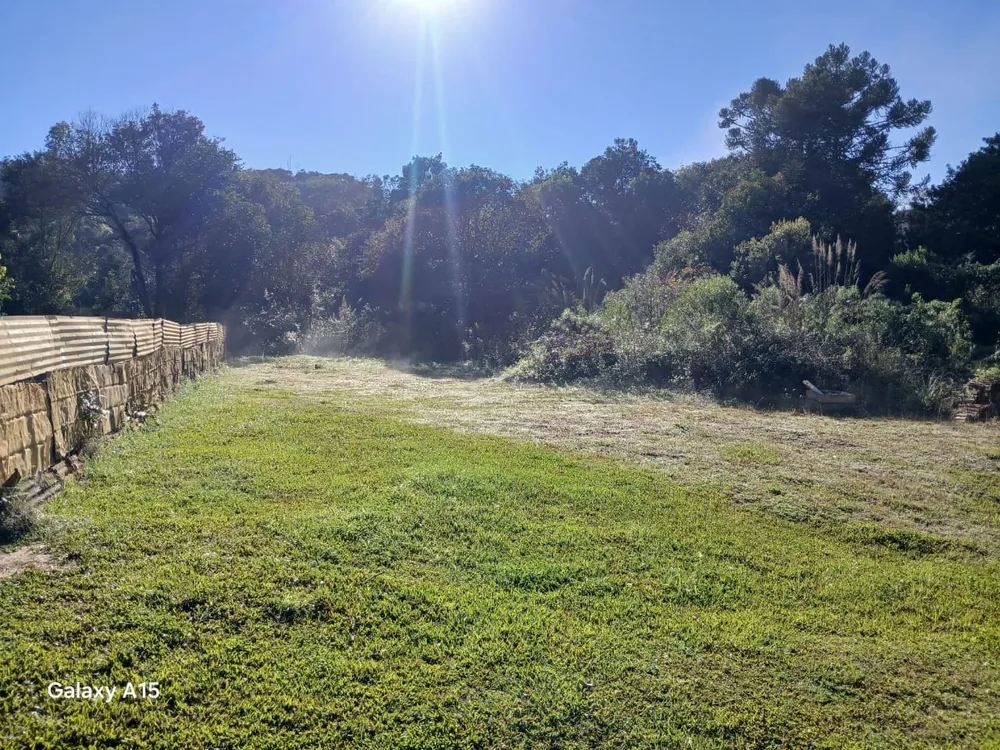 Terreno, 6 hectares - Foto 16