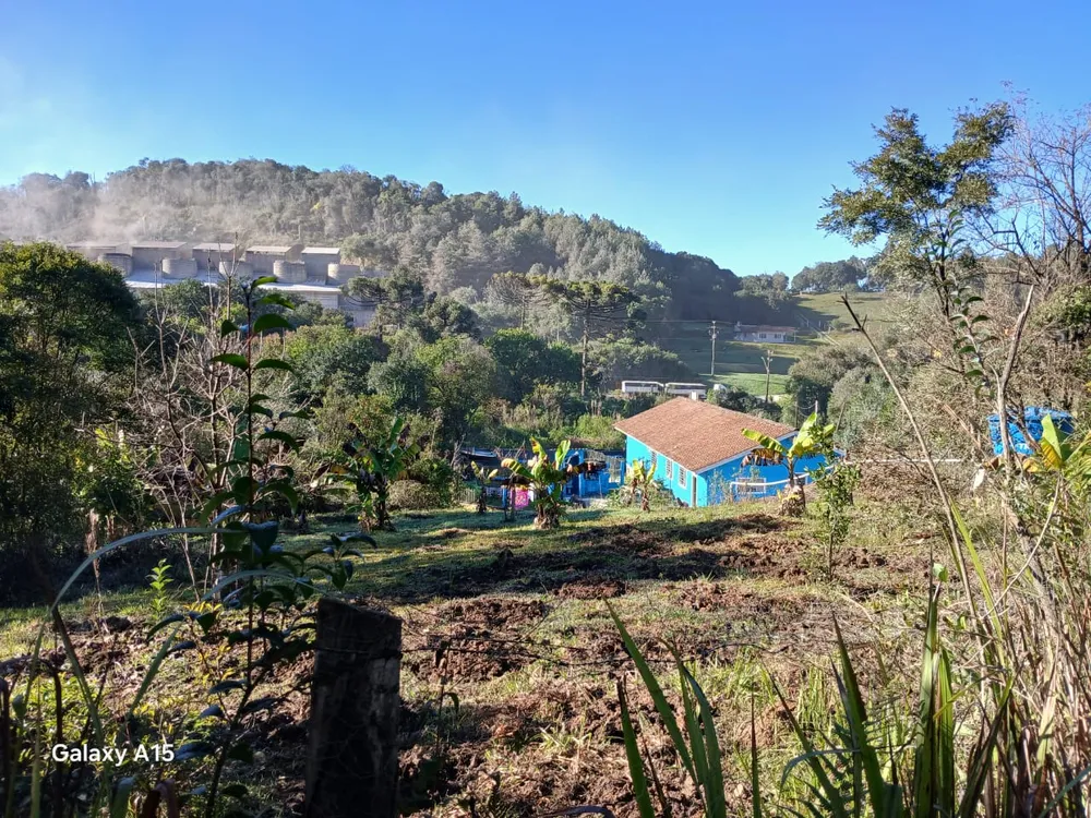Terreno, 6 hectares - Foto 4