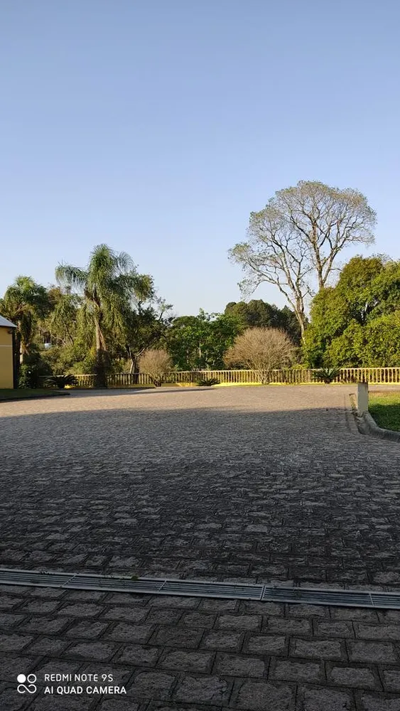 Chácara, 3 quartos, 283 hectares - Foto 2