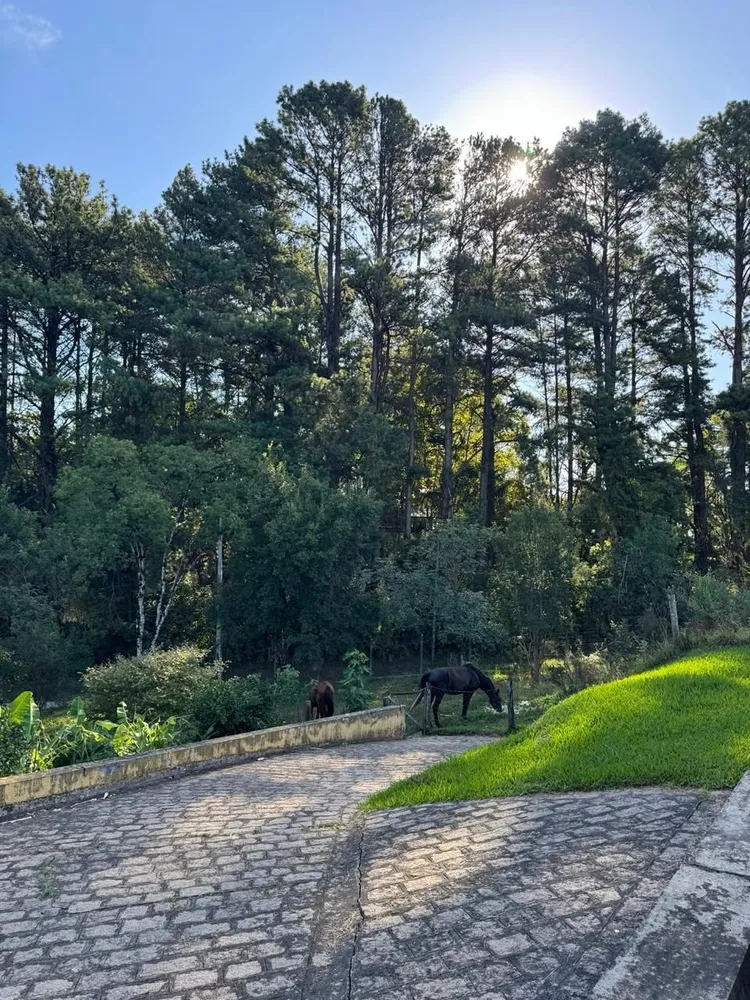Chácara, 4 quartos, 283 hectares - Foto 34