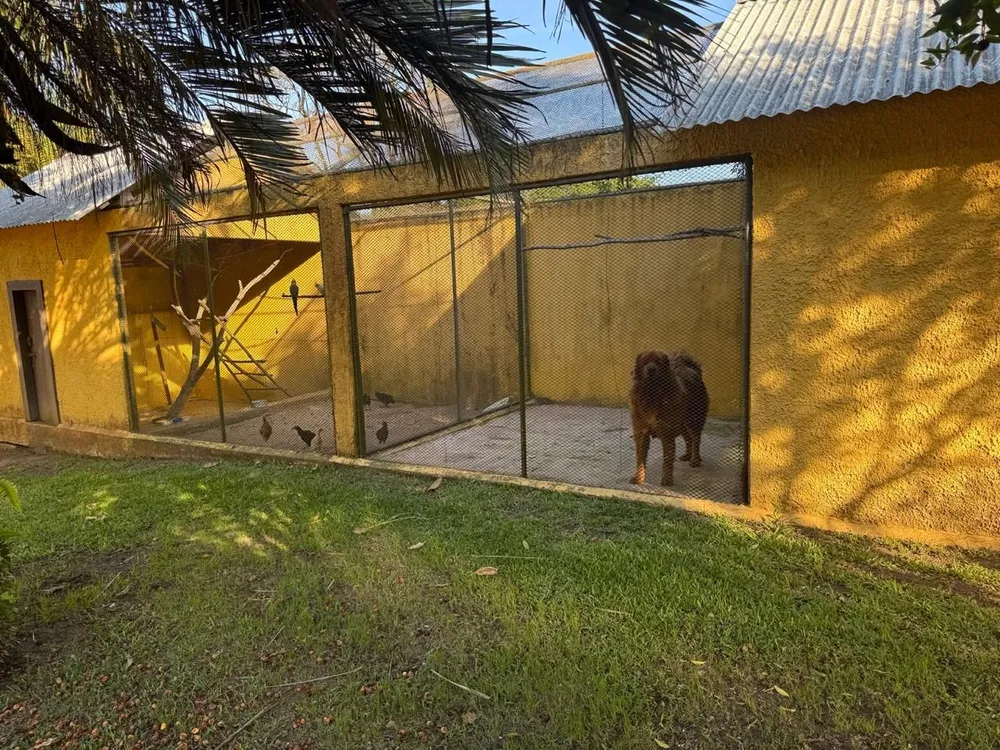 Chácara, 4 quartos, 283 hectares - Foto 9