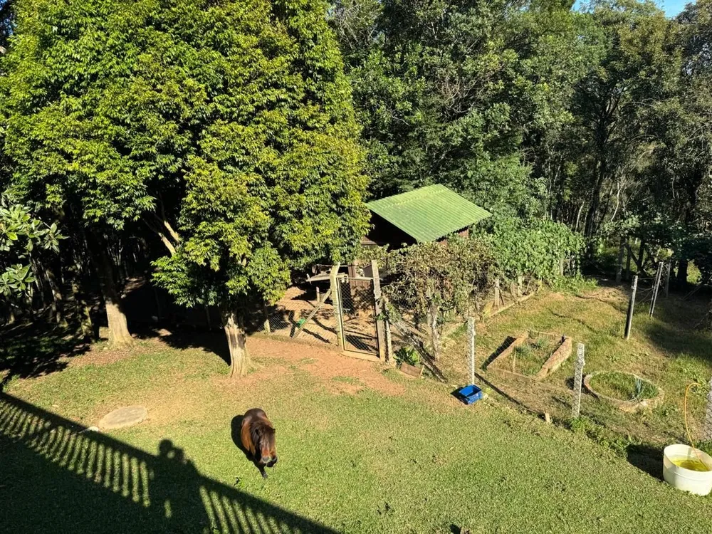 Chácara, 4 quartos, 283 hectares - Foto 40