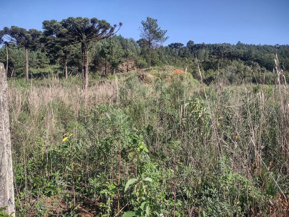 Terreno, 1838 m² - Foto 12