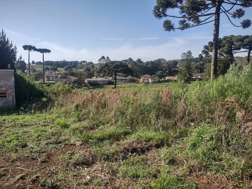 Terreno, 1838 m² - Foto 10