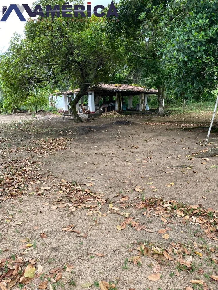 Sítio, 2 quartos, 22 m² - Foto 7